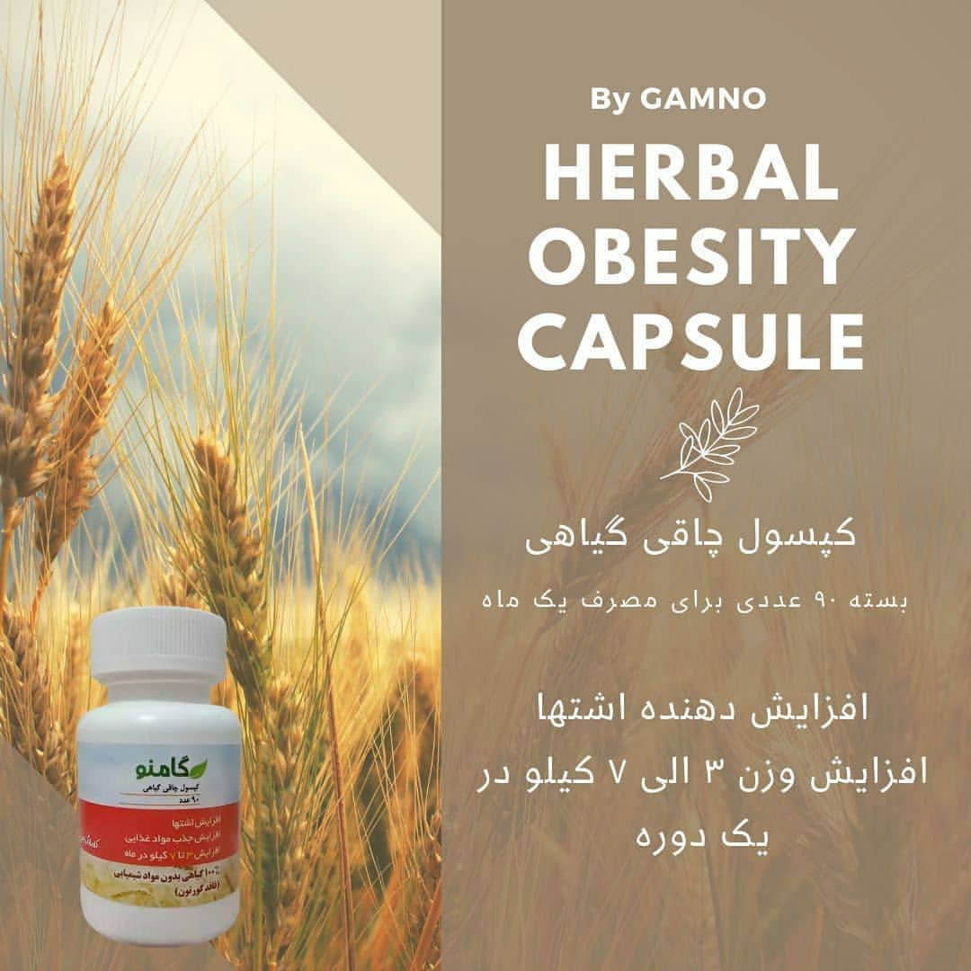 کپسول چاقی گیاهی goاصلی