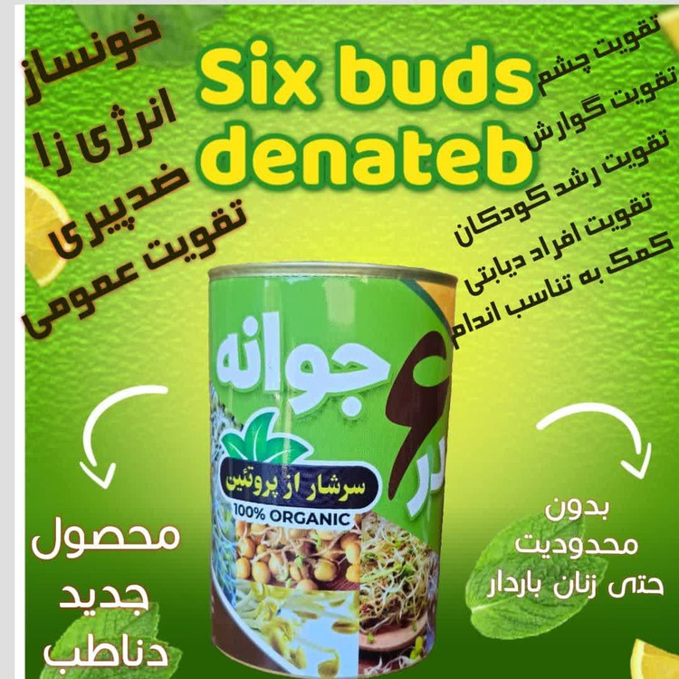 پودر تقویتی 6 جوانه خالص و درجه یک مناسب همه افراد